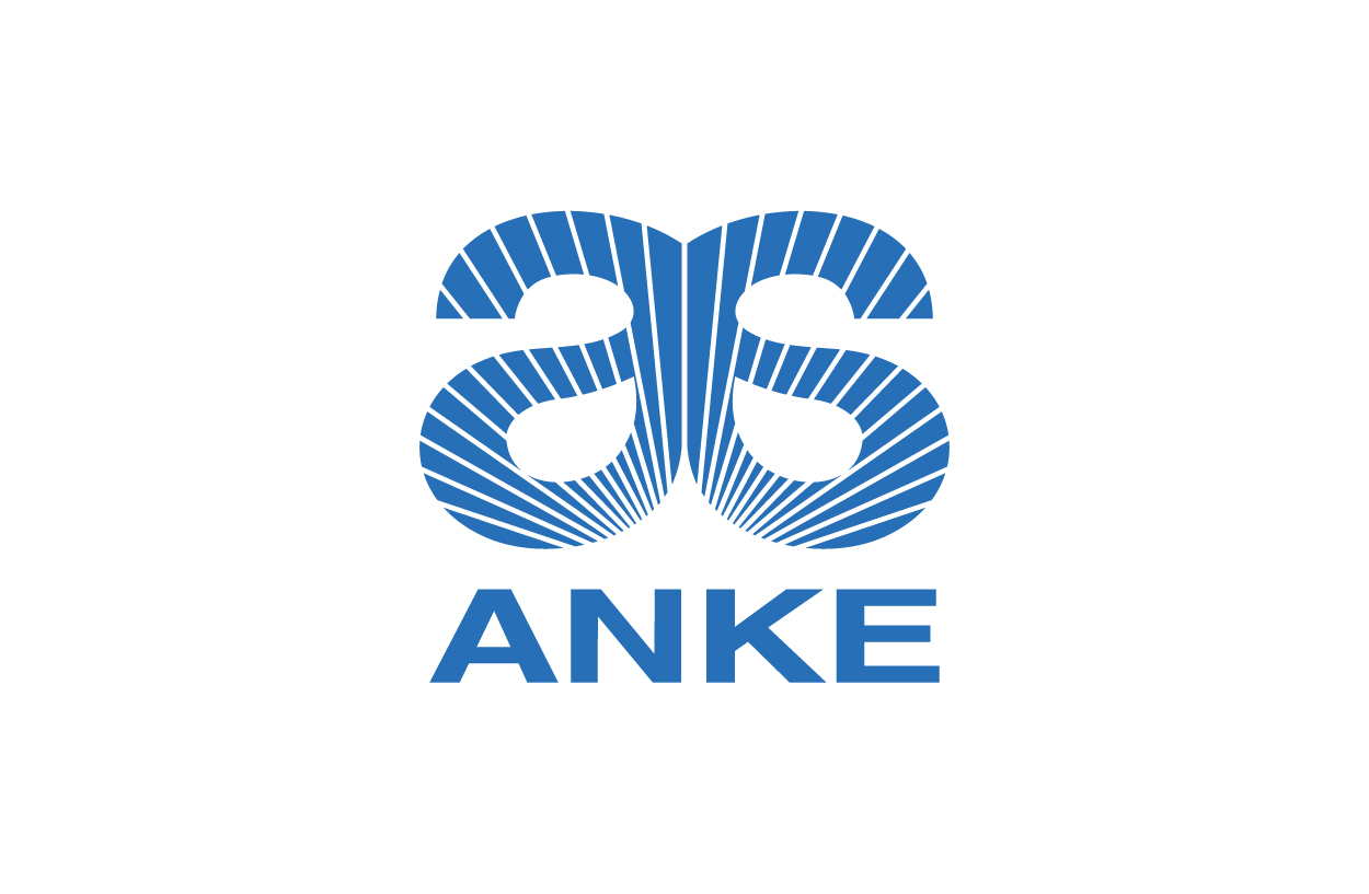 08 ANKE