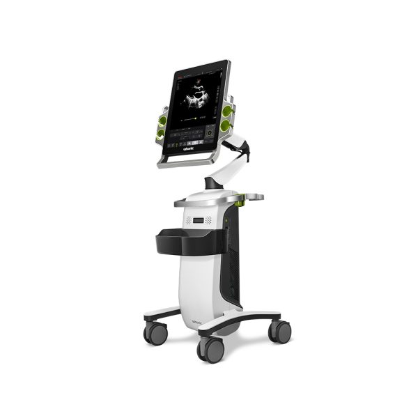Critical Care Ultrasound - Image 4