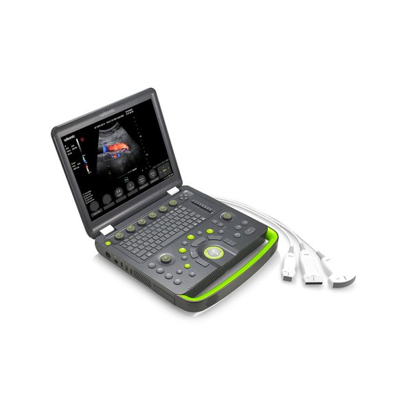 Veterinary Ultrasound - Image 8