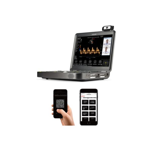 Veterinary Ultrasound - Image 6