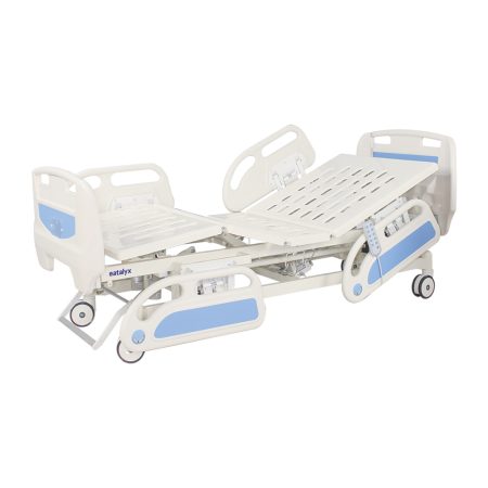 Five Function Electic hospital bed