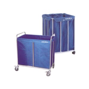 Dirt carriage trolley