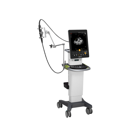 Anesthesia & Pain Management Ultrasound