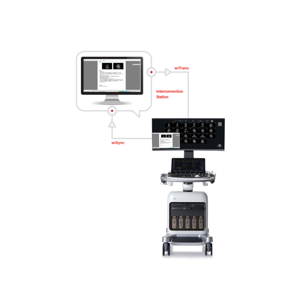 OB & GYN - Obstetrics and gynecology ultrasound - Image 3