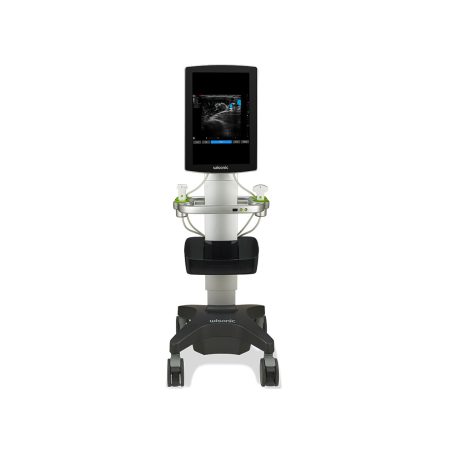 Anesthesia & Pain Management Ultrasound