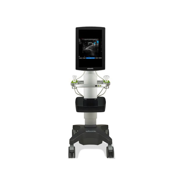 Anesthesia & Pain Management Ultrasound