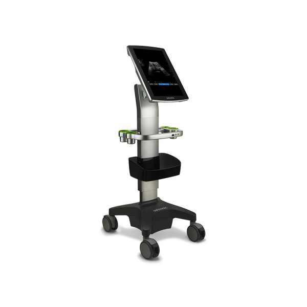 Anesthesia & Pain Management Ultrasound - Image 4