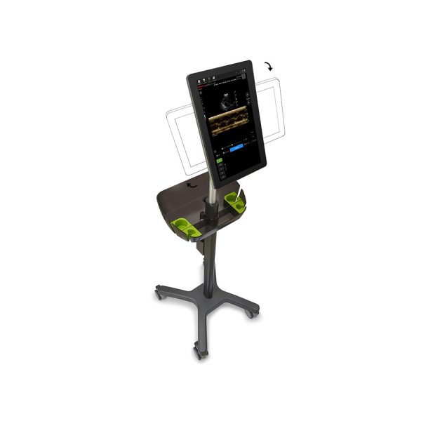 Veterinary Ultrasound - Image 2