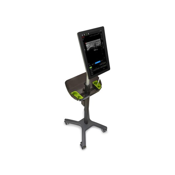 Musculoskeletal and Rehabilitation Ultrasound