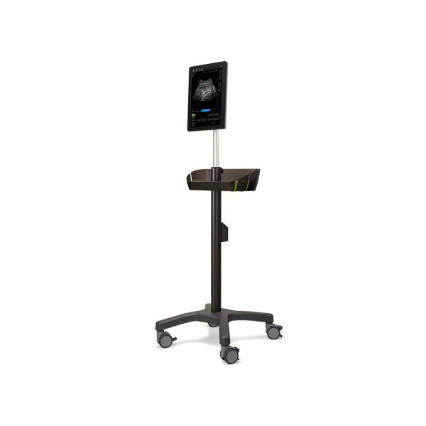Musculoskeletal and Rehabilitation Ultrasound - Image 6