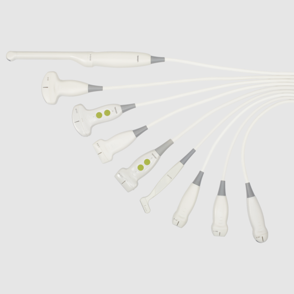 Musculoskeletal and Rehabilitation Ultrasound - Image 7