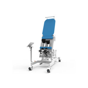 Limb Rehabilitation System