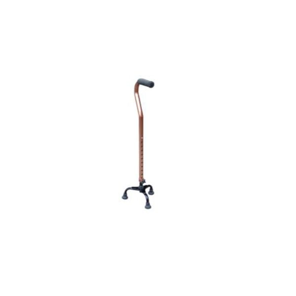 Cane