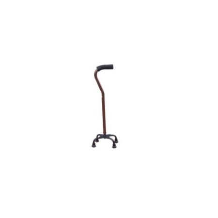 Cane