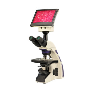 Binocular Microscope