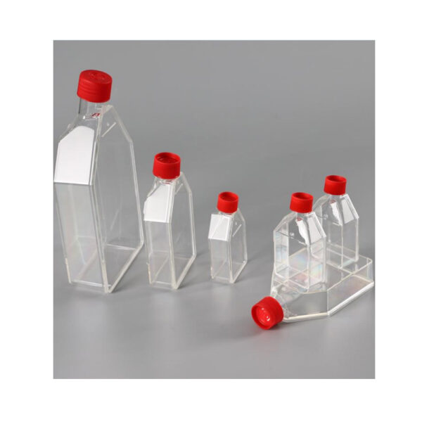 Cell culture bottle