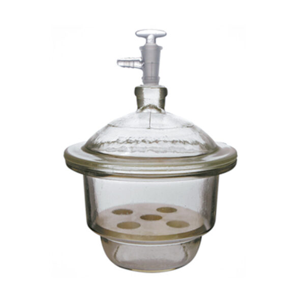 Vacuum Desiccator