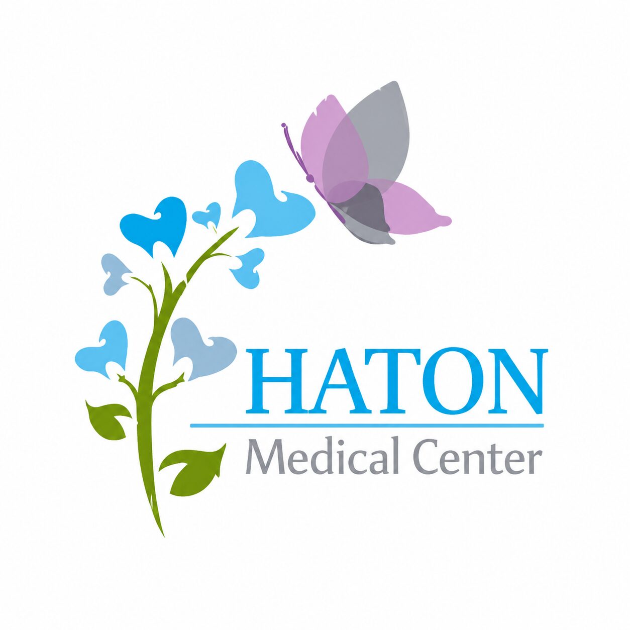 HATON MEDICAL CENTER LLC