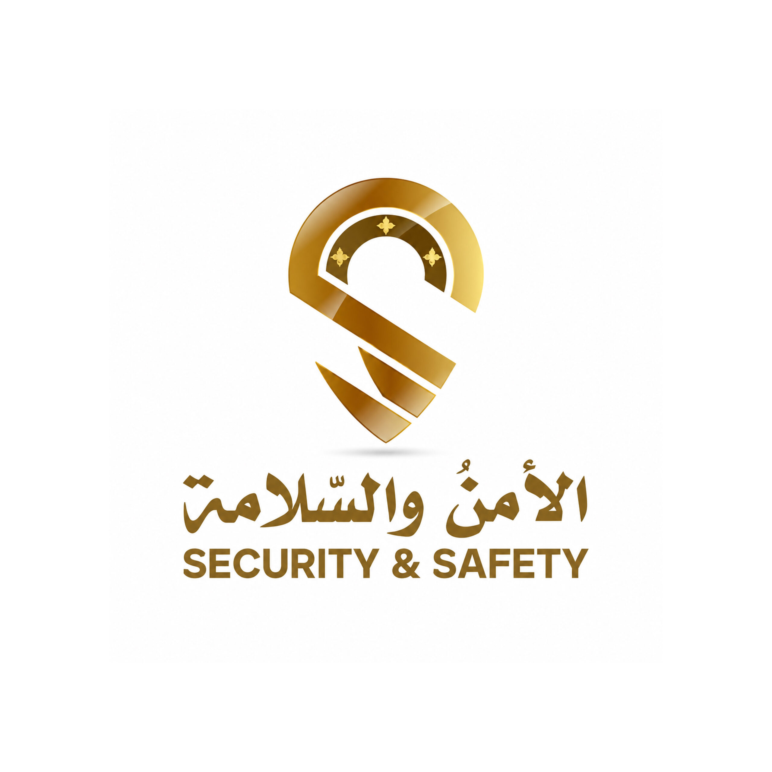 SECURITY & SAFETY SERVICES LLC
